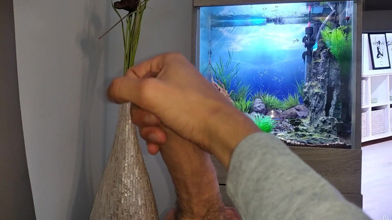 Elvissc: Hot Young Guy Wanks His Nice Big Cock Until He...