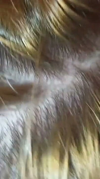 Nazty Katt Xtreme/cut: the Queen of Nazty Deep Throat Returns