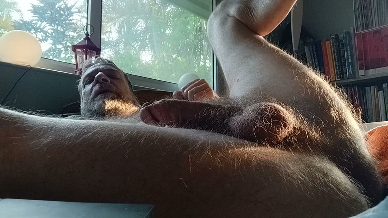 Hairyartist: Will's Relaxation Trigger