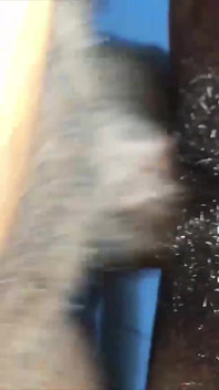 Nejprve byla stydlivá, teď chce více ofmy čůráka a dotyků