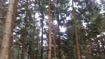 Lilicross: Alone in the midle of nowere