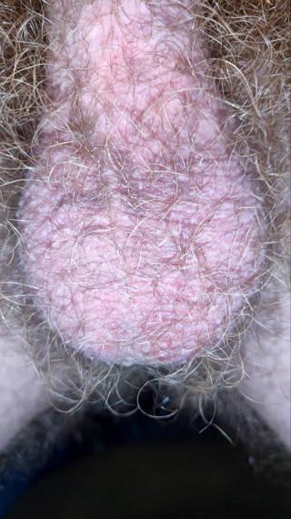 AssHungry4Cock: 정액을 생산하는 매혹적인 공