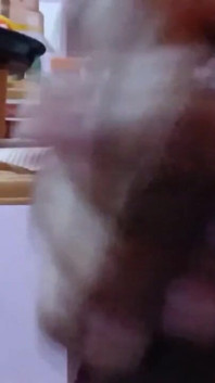 Amateur Masturbation Hand Job Teen Ass Teen a Dick Amateur Masturbation Hand Job