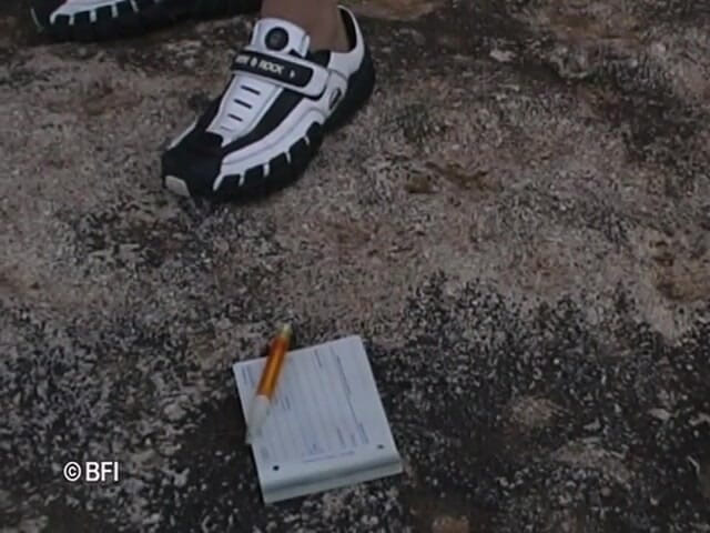 Hardcore Lovers: Awek pantai panas dibawa ke kolam untuk sesi kongkek panjang...