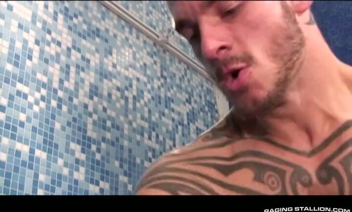 Raging Stallion: Ink Storm