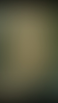 2017427640.mp4