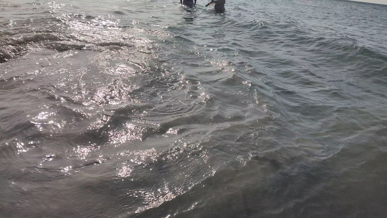 LiL Latin Goddess: Bts 블루퍼 오픈 오션 포토샷