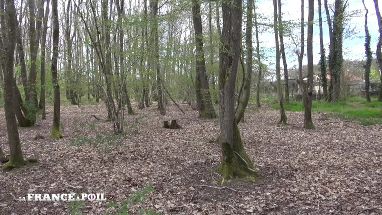 Girls Bang: Burghezie matură futută anal în aer liber de Garderner