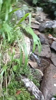 In una passeggiata al fiume - masturbazione e urina all'aperto