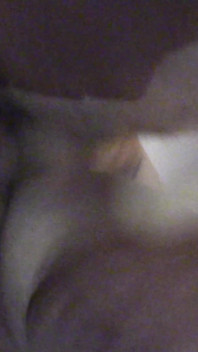 Jęki Hard Doggy Ass Jebanie