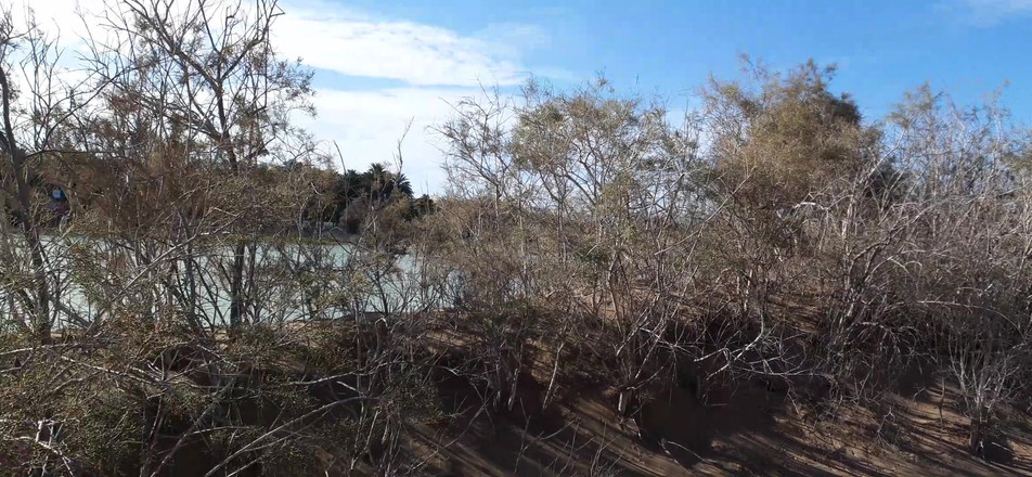 Orinadas_jmv54: Die Dünen Von Maspalomas