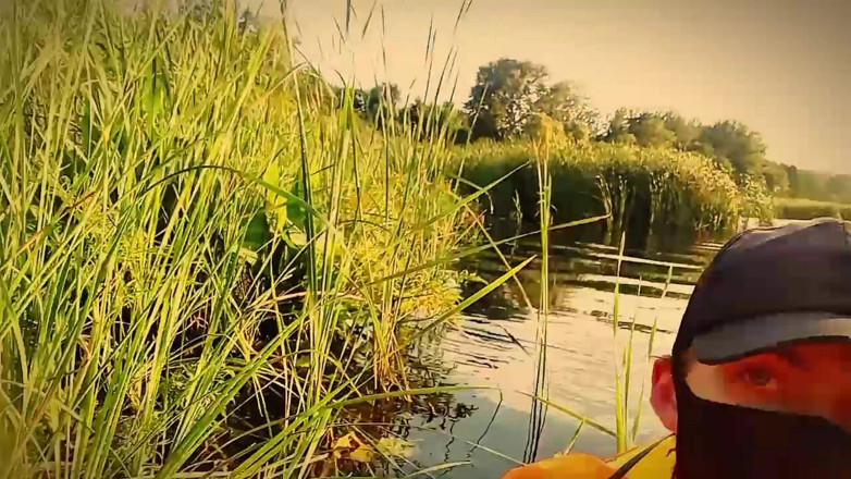 Fish Cam: Memories of the Past Summer. Twink Jerks off Her Cock...