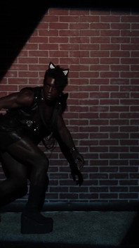 Catman Boy Wonder Montage