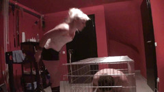 Femdom Austria: 을 찌르고 침을 뱉다