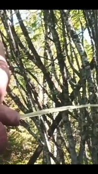 Pissing Outdoor