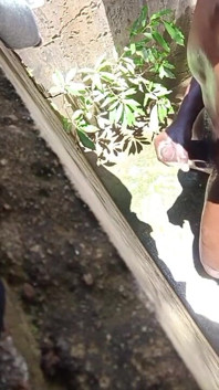 Hot Sunny Day Dick Massage Gone Wild