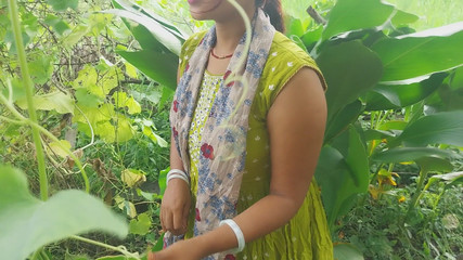 Pooja raniji: Kebun hutan India di dekat kebun rumahku di luar ruangan,...