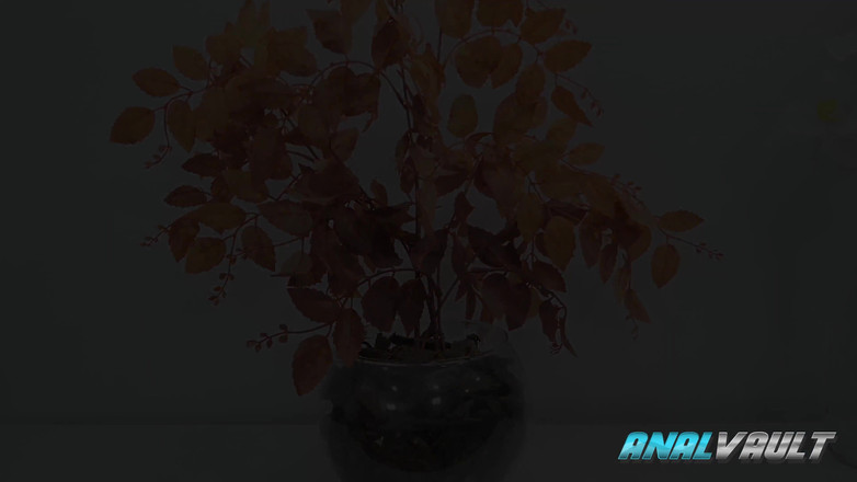 Anal Vault: Susie, grosse cougar blonde, se fait baiser intensément par des...