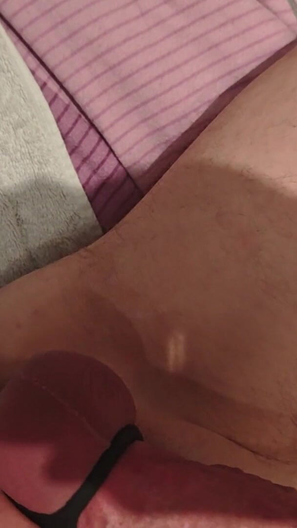 My Cock (Jimbee)