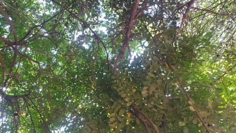 Kitty_Cross: Mi top es tan apretado como tu agarre