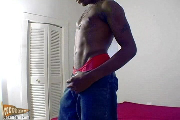 CocoDorm: Romeo St. James