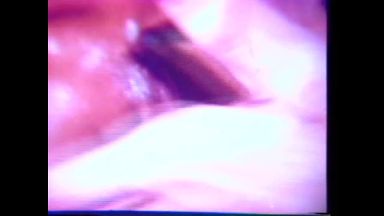 Vintage Megastore Full hd: 口交派对（第二部分）