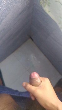 Mi polla