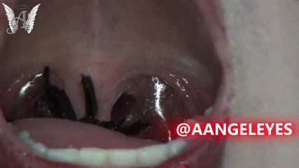 Angel eyes studio: Super show polykání velkých pavouků!