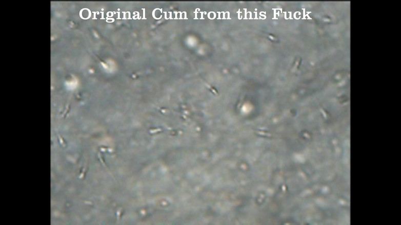 Mark Hannes: 흑인 대물 자지 따먹기