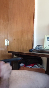 Honění Mezitím i homeoffice