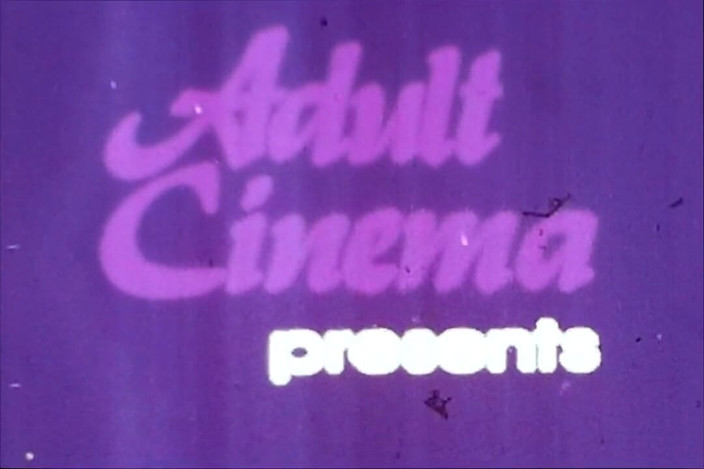 Close Encounter Vintage: Vintage porn retro erotic theatre my hometown