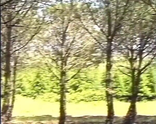 GERMAN PORN CLASSICS: Happy Holliday - Genzenlos Im Urlaub Gefickt