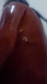 Lil latina tắm show slo-mo