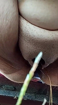 Muste Pissing