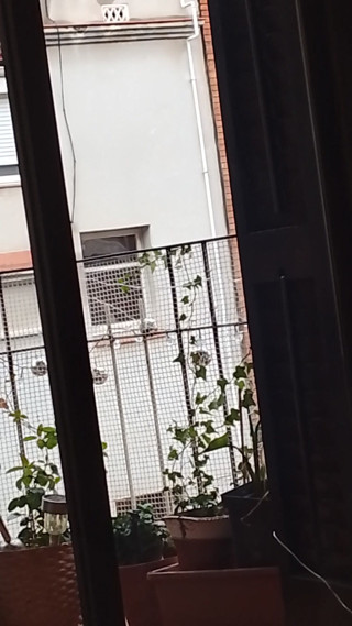 Beehive: Melalui jendela