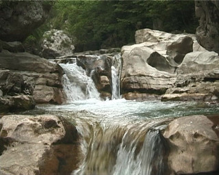 MSTX: Juana Geração X4