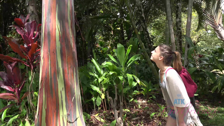 ATK Fans (Girlfriends): Vacaciones virtuales en Hawaii con Kristen Scott parte 4