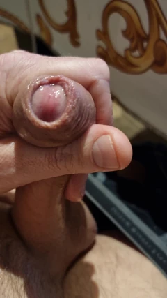 자지를 빨고 정액을 뿌리다, Schizzo Di Sborra