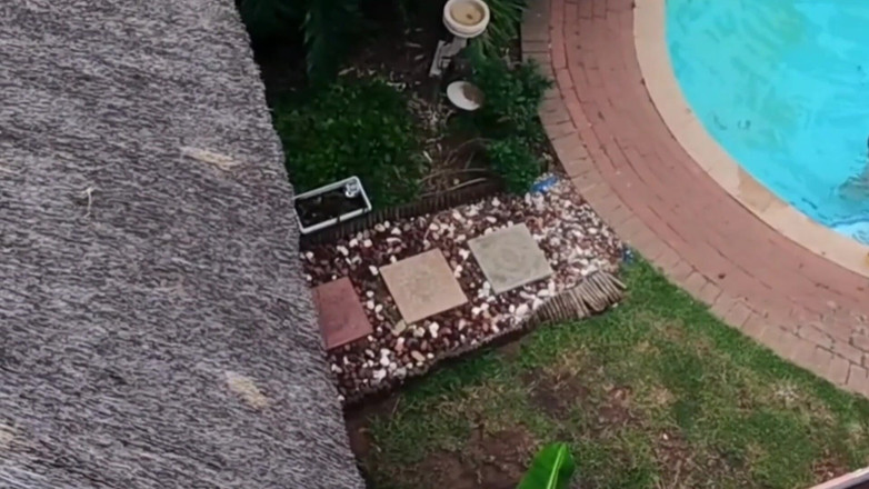 Bigjoefuckalott: J’ai surpris mes voisins en train de baiser en volant...