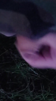 Lekker aftrekken in het park