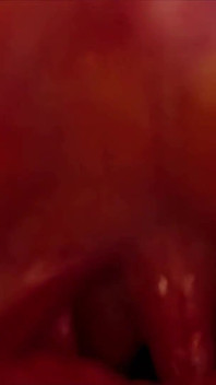 Reduced Price on Customs!! Tell Me About You Fantasy!!