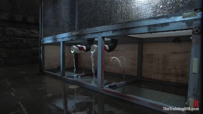 The Training of O by Kink: Bobbi Starr का प्रशिक्षण, दिन चार