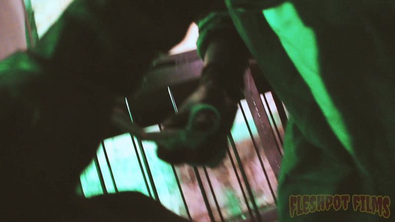 Fleshpot films: Reenemator 2