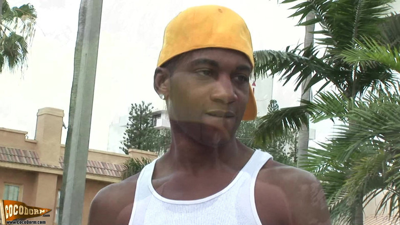 CocoDorm: キャスパー22