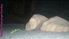 Carmen_Nylonjunge: My Horny Nylon Feet at the Ground