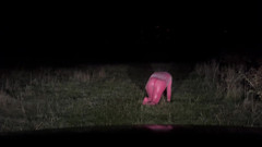 Pink Latex Petplay Outdoor Sissy thumbnail