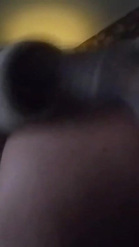 Velký anální kolík