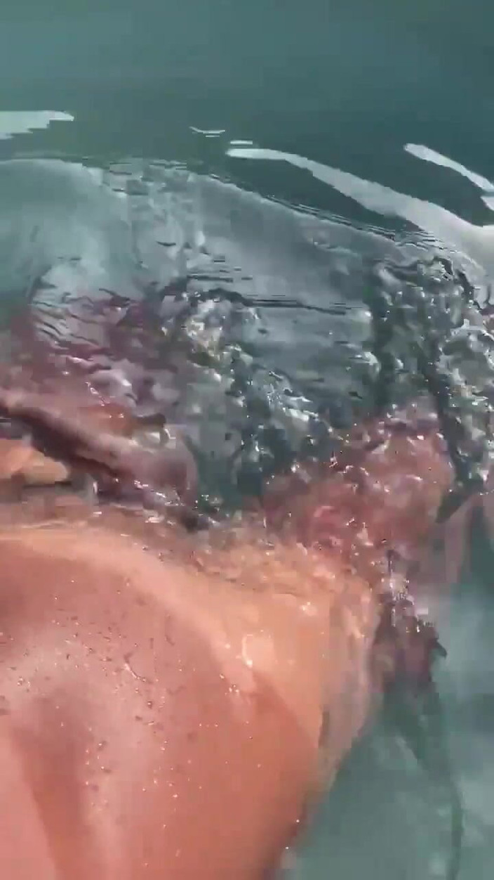 Vida Noite: Écoute de l’audio gooning dans la piscine et