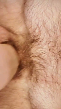 Will You Suck My Hairy Balls?