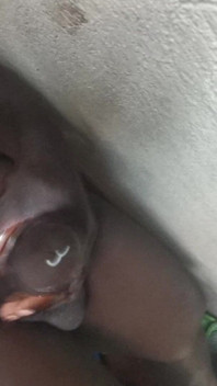Really Huge and Fat BBC